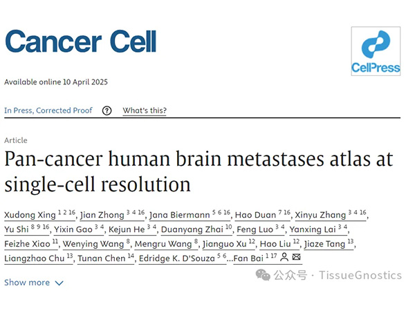 Cancer Cell|北京大学白凡教授团队