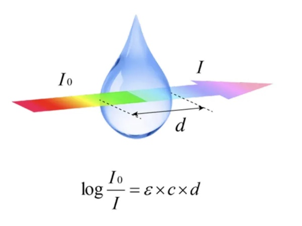 Implen小课堂：样品吸光值和OD值有什么