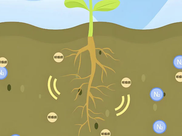 中科院微生物所：苜蓿共生固氮的氨基酸交换机制